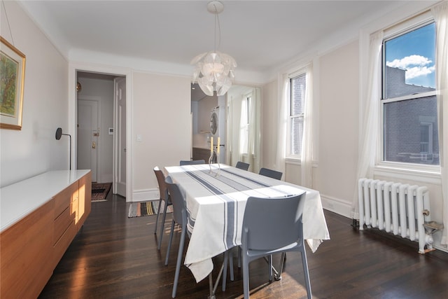 dining area with dark hardwood / wood-style floors, radiator heating unit, and a notable chandelier