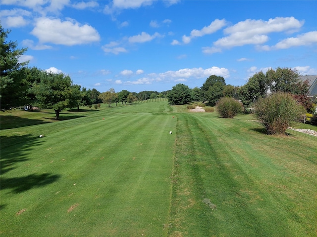 view of community with a lawn