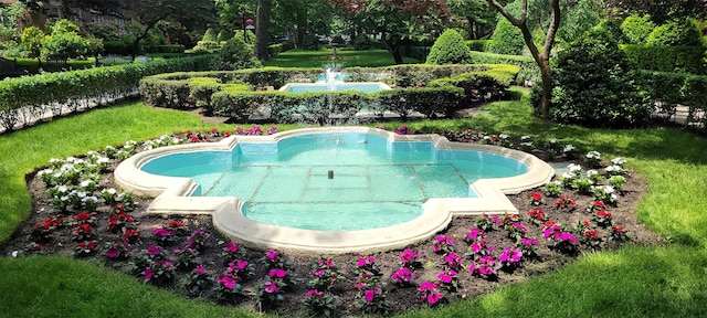 view of swimming pool