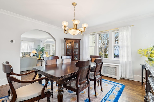 dining space with dark wood-type flooring, ornamental molding, radiator, and a wealth of natural light