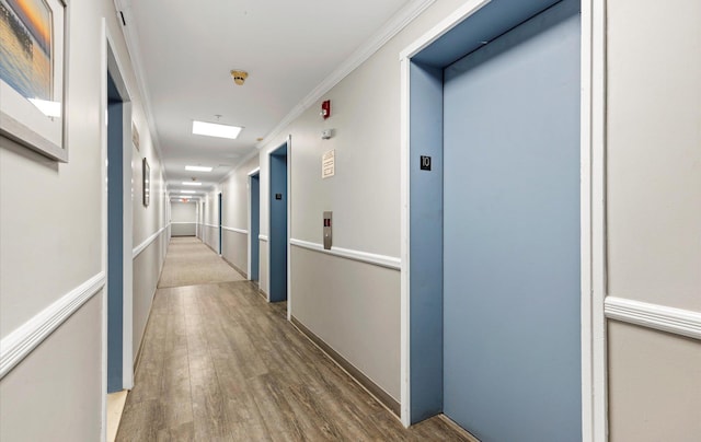 hallway featuring wood-type flooring, ornamental molding, and elevator