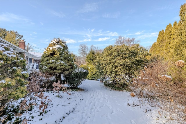 view of snowy yard