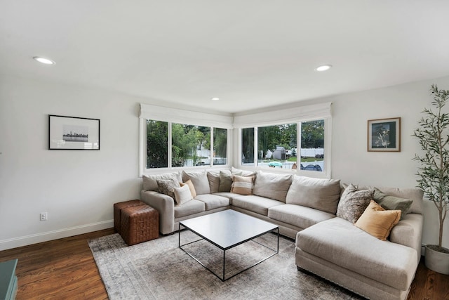 living room with dark hardwood / wood-style flooring