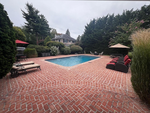 view of swimming pool with a patio area