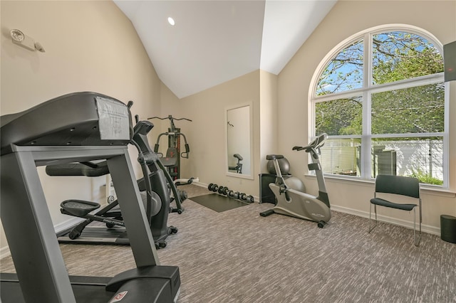 workout area featuring carpet and high vaulted ceiling