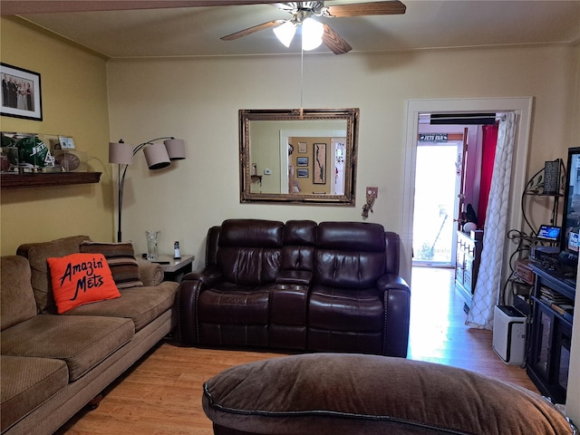 living room with ceiling fan and light wood-type flooring