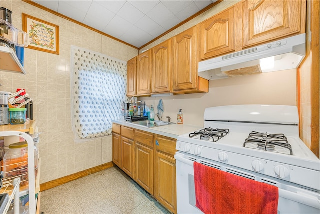 kitchen featuring white gas range and ornamental molding