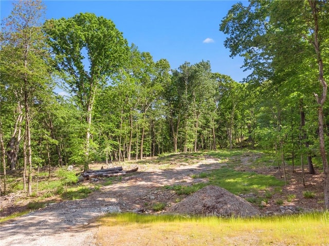 Listing photo 2 for LOT4 S White Rock Rd, Holmes NY 12564