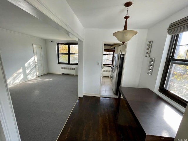 interior space featuring plenty of natural light and radiator