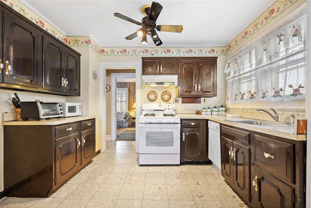 kitchen featuring white appliances and dark brown cabinets