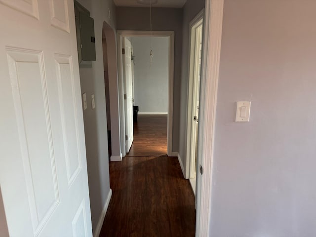 hall with dark hardwood / wood-style floors and electric panel