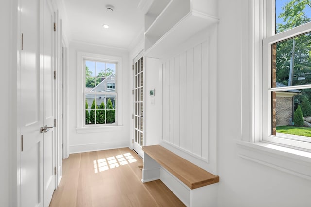 85 Dorchester Dr, Manhasset, NY 11030 - mudroom with light wood finished floors, crown molding, and baseboards