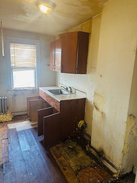 kitchen featuring sink and radiator heating unit