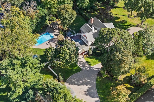 bird's eye view