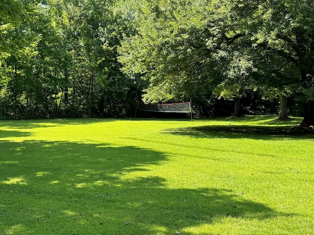 view of yard featuring volleyball court