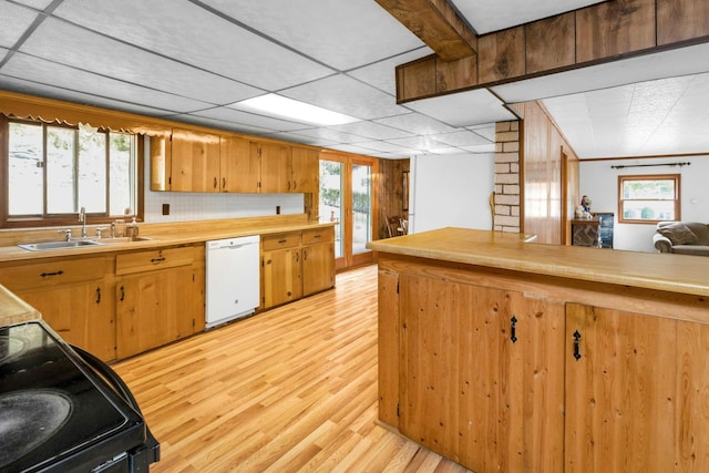 kitchen featuring tasteful backsplash, dishwasher, black range with electric cooktop, sink, and light wood-type flooring