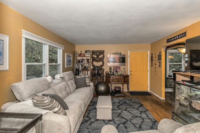 living room featuring dark wood-type flooring