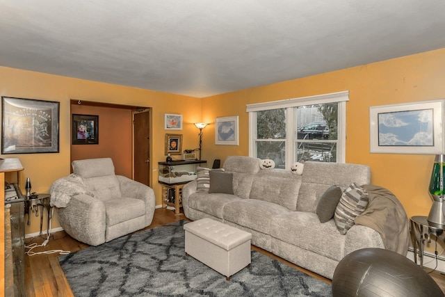 living room with wood-type flooring