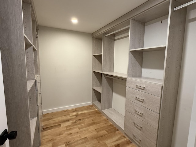 spacious closet featuring light wood-type flooring