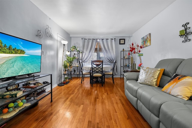 living room featuring hardwood / wood-style floors