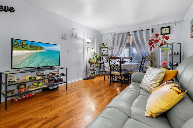 living room featuring wood-type flooring