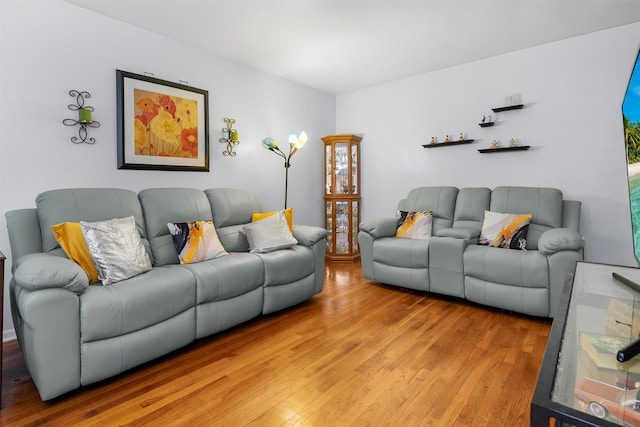 living room with light hardwood / wood-style flooring