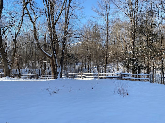 view of snowy yard