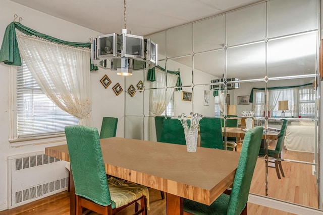 dining area with wood-type flooring and radiator heating unit