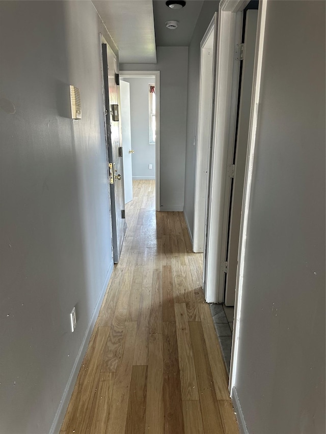 807 Barbey, Brooklyn, NY 11207 - photo 30