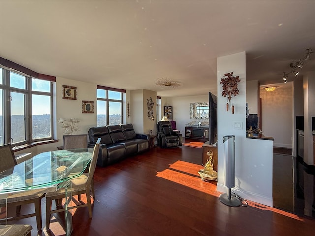 living room with dark hardwood / wood-style flooring and track lighting