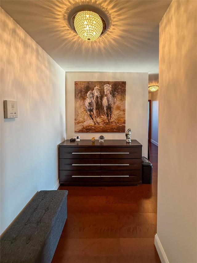 hallway featuring dark hardwood / wood-style floors