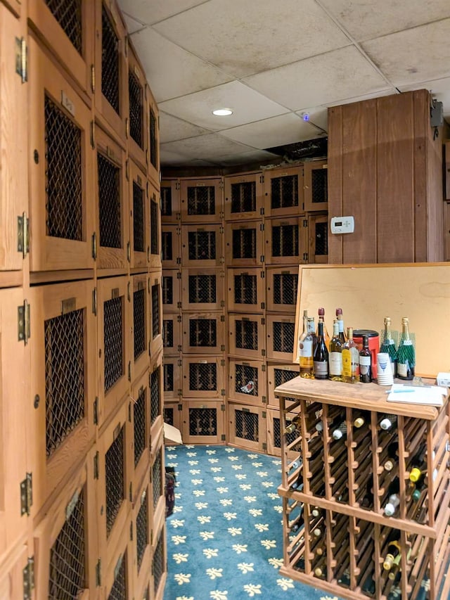 wine area with carpet and a paneled ceiling