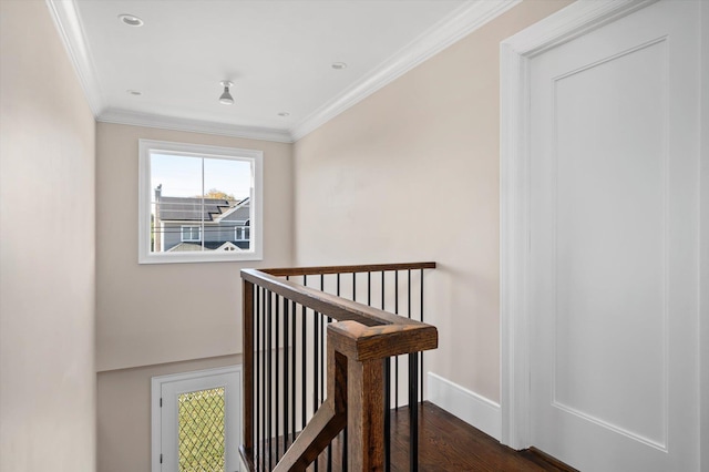 corridor featuring crown molding and dark wood-type flooring