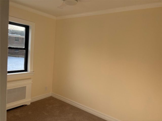 carpeted spare room with ornamental molding and a healthy amount of sunlight