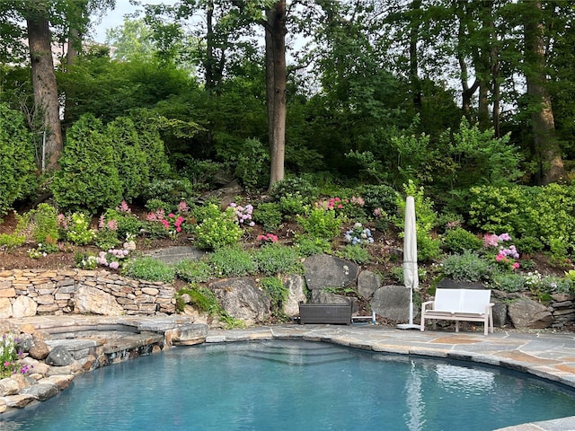 view of pool featuring a patio area