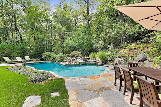 view of swimming pool featuring a patio