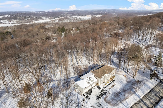 view of snowy aerial view