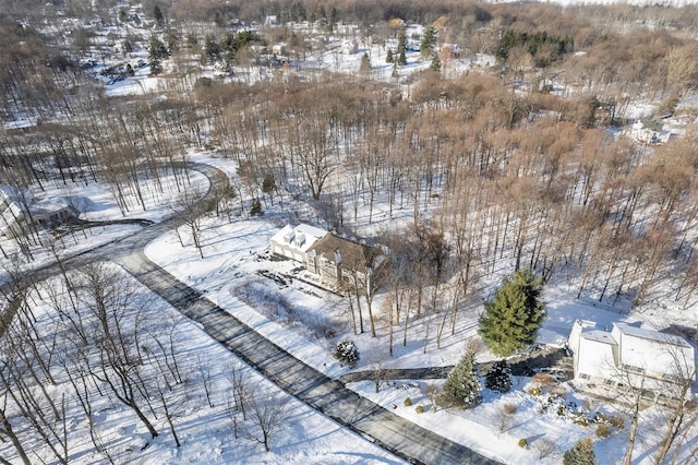 view of snowy aerial view