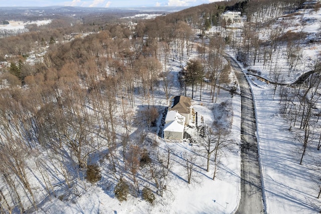 view of snowy aerial view