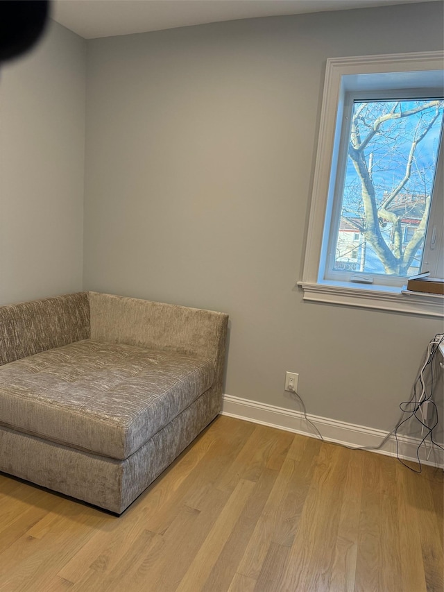 sitting room featuring hardwood / wood-style floors