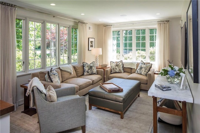 42 Masterton Rd, Bronxville, NY 10708 - living room with recessed lighting