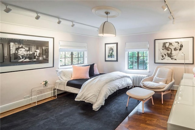42 Masterton Rd, Bronxville, NY 10708 - bedroom featuring multiple windows, rail lighting, radiator heating unit, and wood finished floors