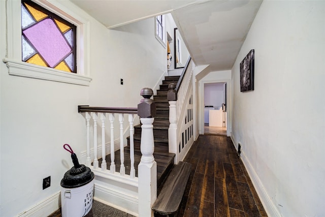 staircase with hardwood / wood-style flooring