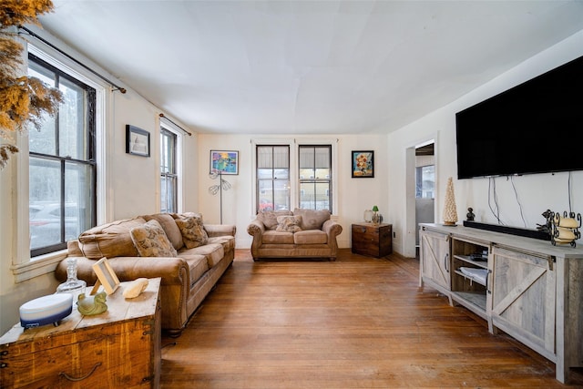 living room featuring light hardwood / wood-style flooring