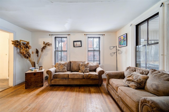 living room with wood-type flooring