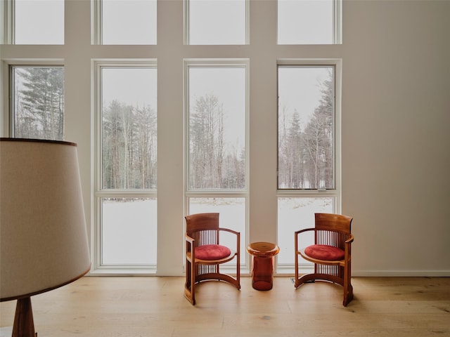 living area with light hardwood / wood-style flooring