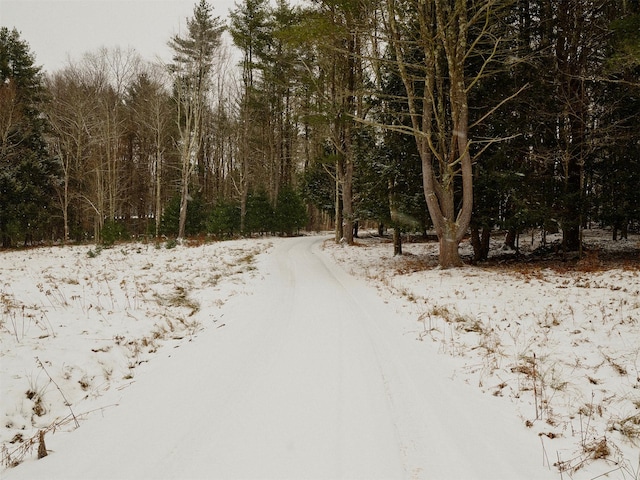 view of road