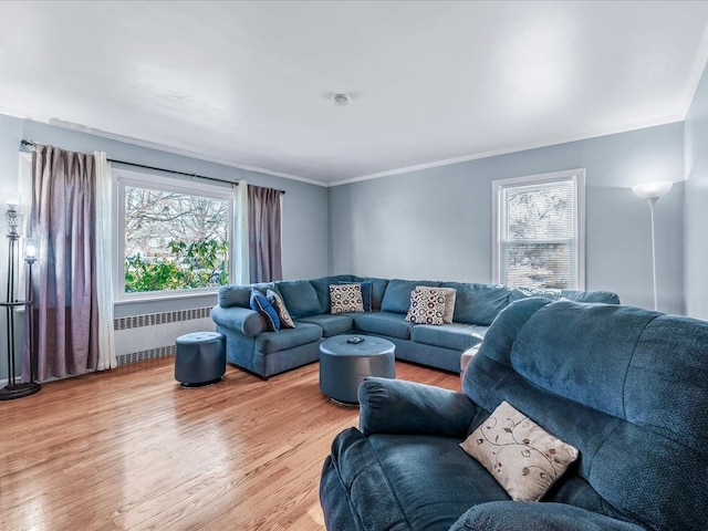 living room featuring crown molding, plenty of natural light, radiator, and light hardwood / wood-style floors