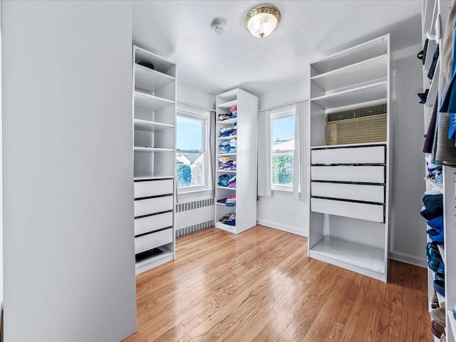 spacious closet with radiator heating unit and light wood-type flooring