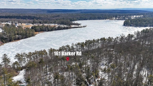 bird's eye view with a forest view and a water view